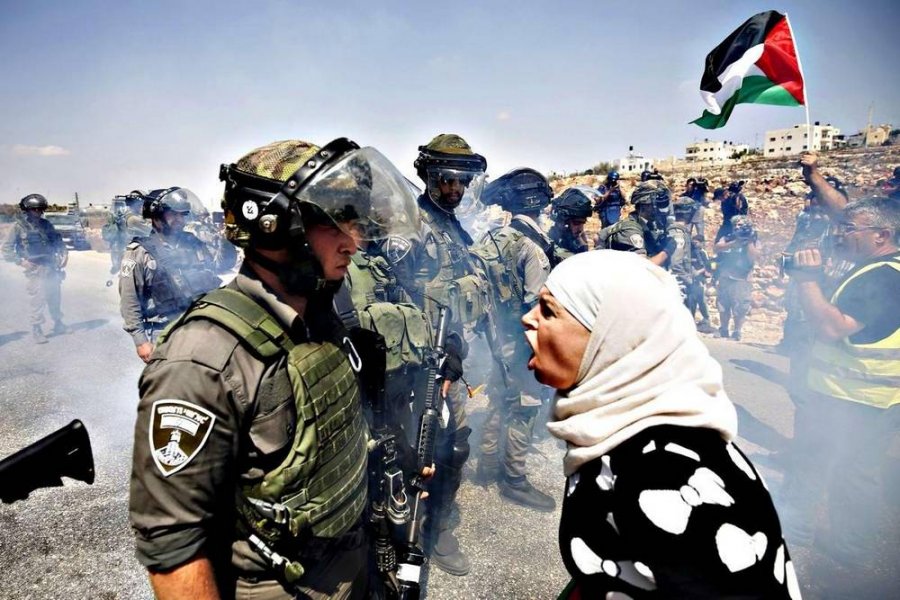 conflict palestine israel pour les nuls torrent