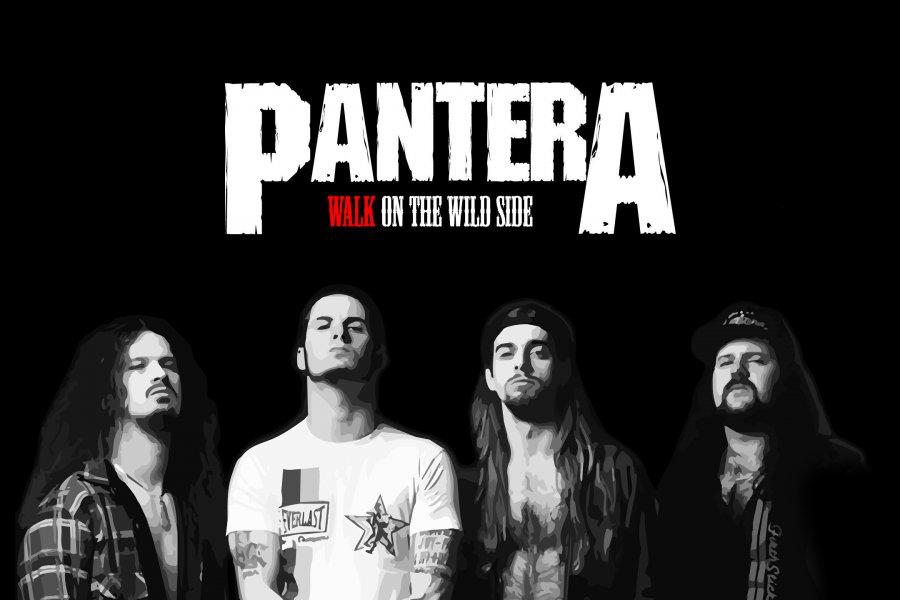 В Германии отменили концерты группы Pantera из-за нацистского приветствия