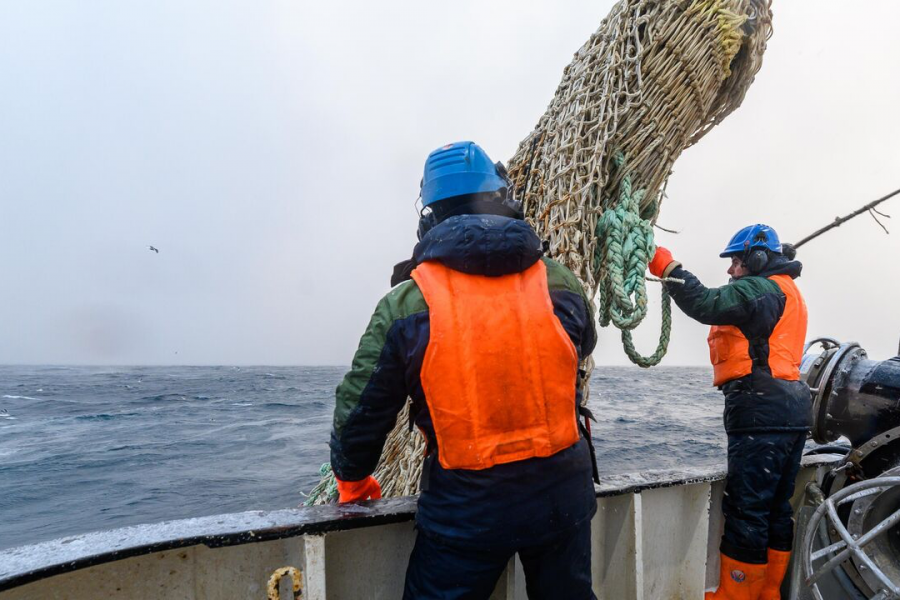 Японии отказано в организации консультаций по вопросу о морском промысле у южных Курильских островов