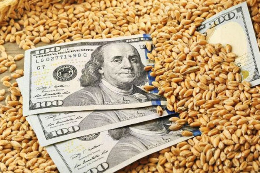 Reuters сообщает, что Египет договаривается о закупке пшеницы из Казахстана взамен российской